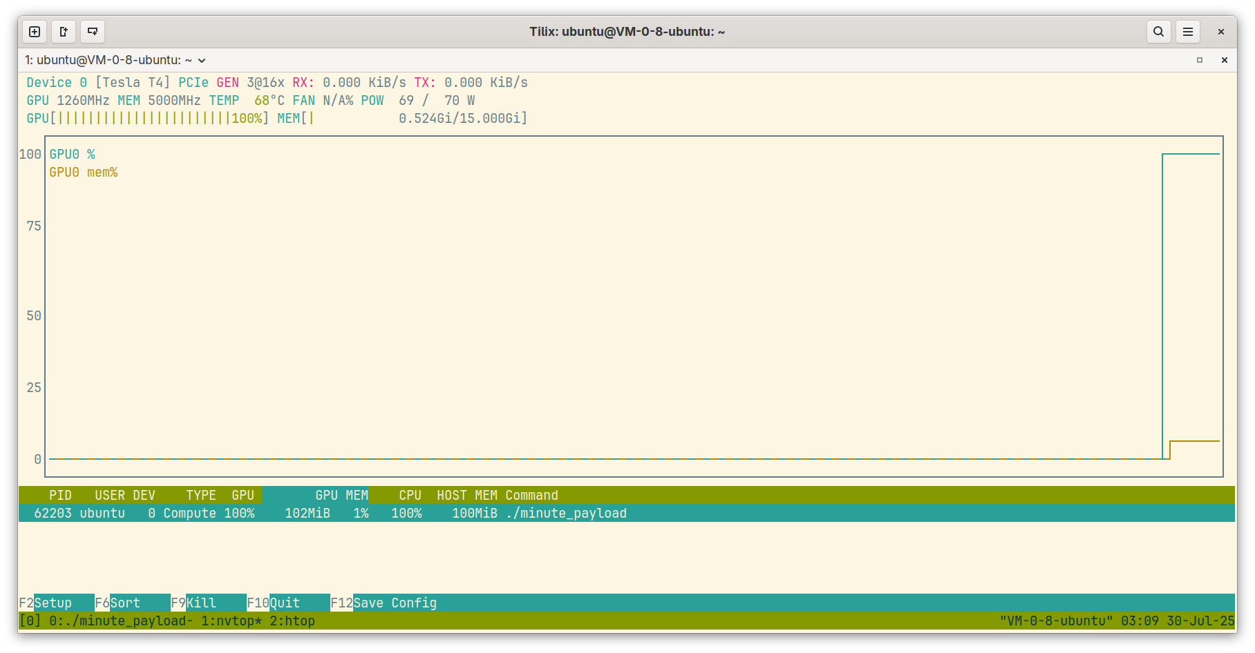 nvtop